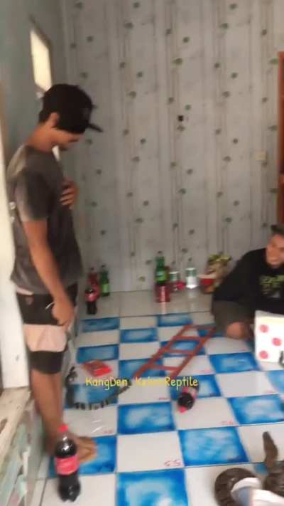 Snake and ladder game
