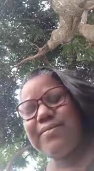 Paz do senhor esteja com vocês