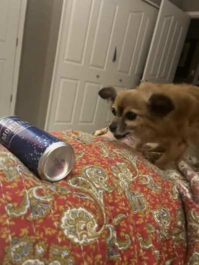 Chloe vs Sparkling water