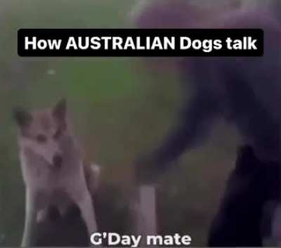 Good day Mate