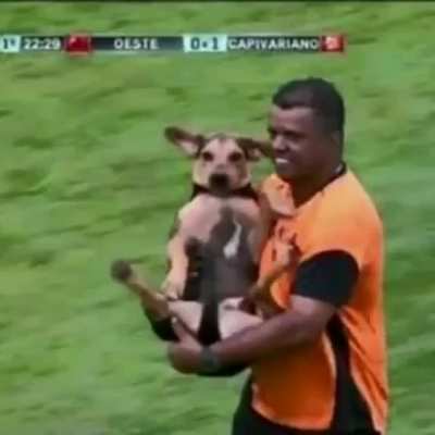 doguim brabo...😎😎