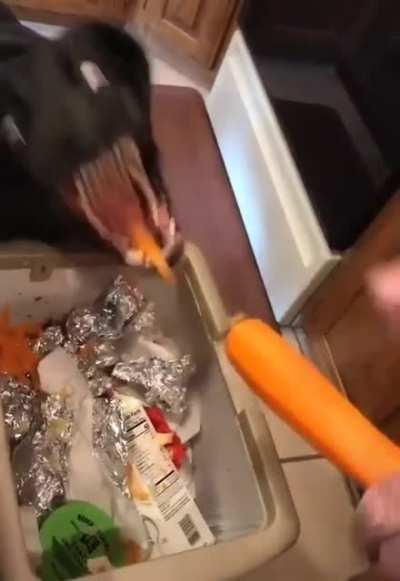 need carrot