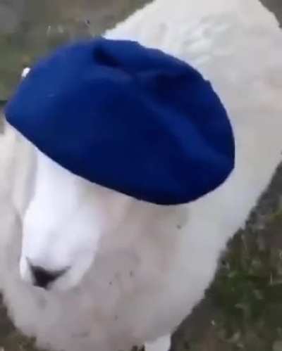 His hat is nice