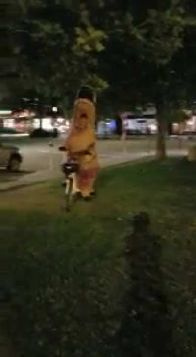 I rode a bike in Jurassic form