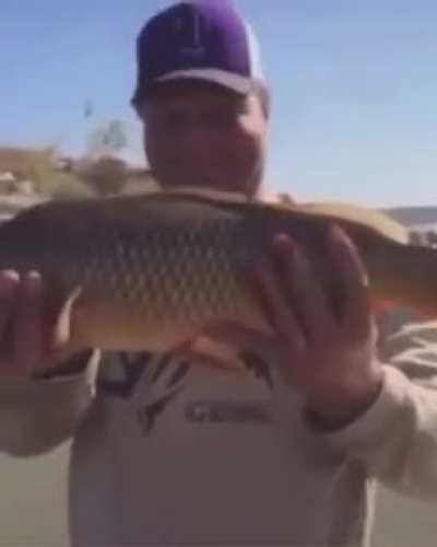 is that a BASS?