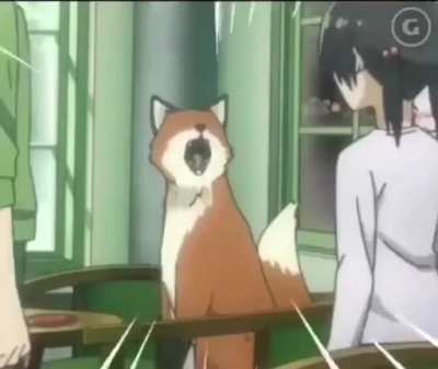 Furry_irl