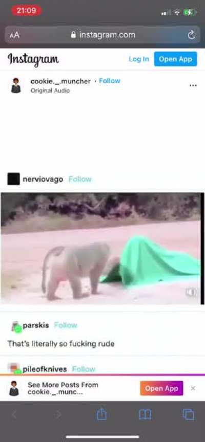 Pranking wild animals seems fun