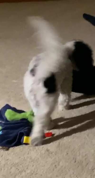 COOPER NO-