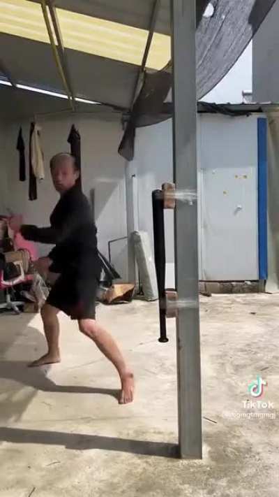 to break a baseball bat with martial arts