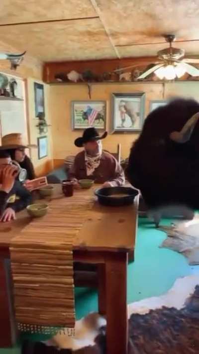 Buffalo