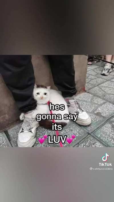 im healed
