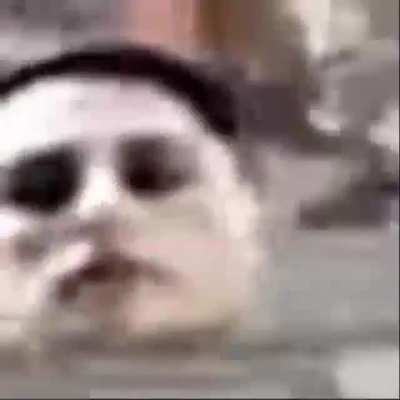 NOO MOMO PARÁ UN POCO