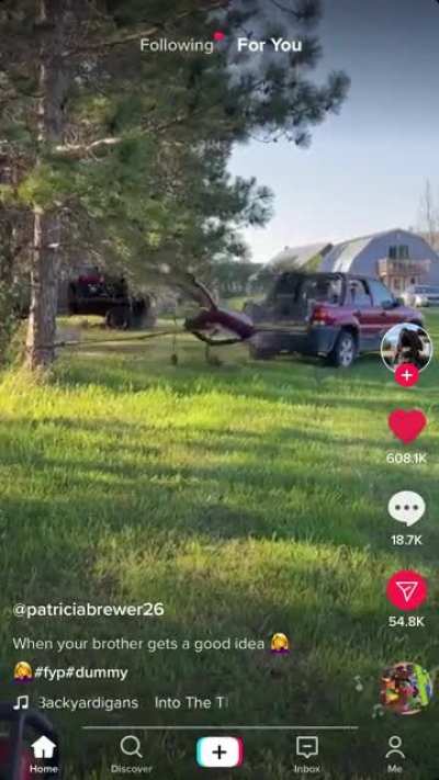Trying to take a tree down with a car