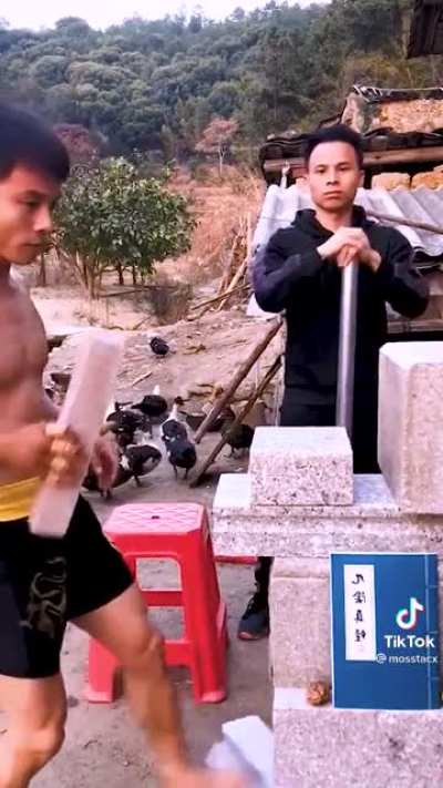 Real life dragon shot(one-inch punch)
