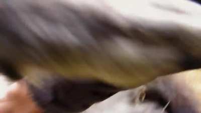 First-person POV of belly scratches