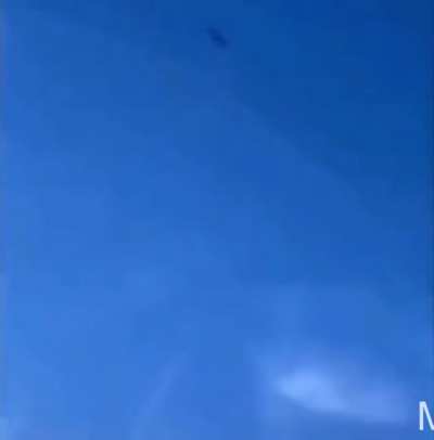 Forget Hampter, say hello to Duk