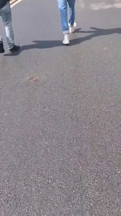 Rainer schreit rum obwohl die Haider l&auml;ngst auf dem Weg nach Hause waren, anstatt ruhig zu werden {19.05.2021}