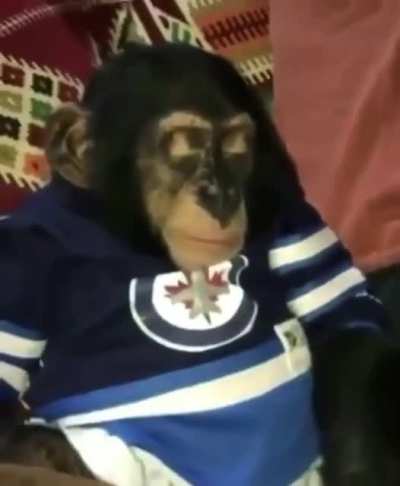 High monke