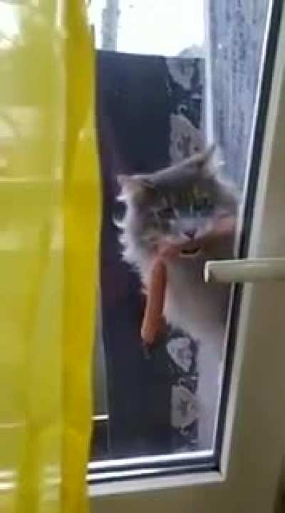 Давай открывай, я пожрать принёс!