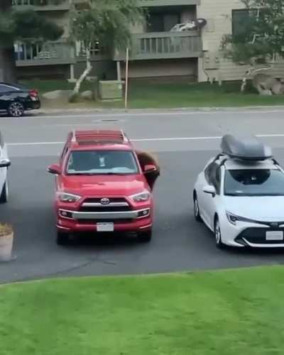 don't leave your windows down