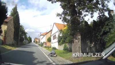 [Czech Republic] Off duty police officer saves his mother from a dog attack