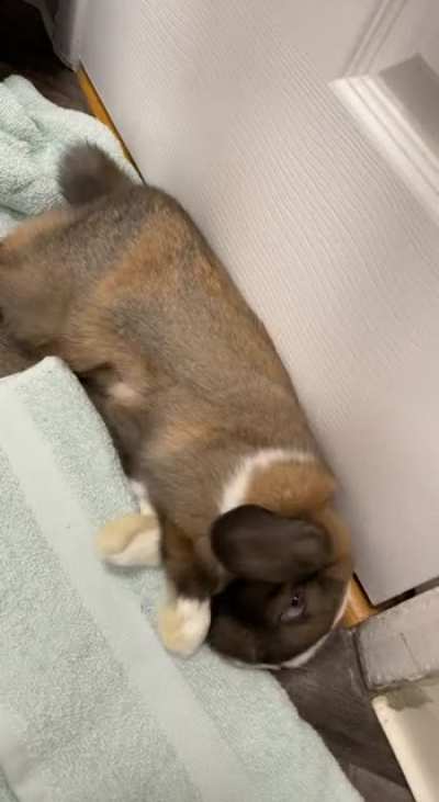 I call it the mini plop