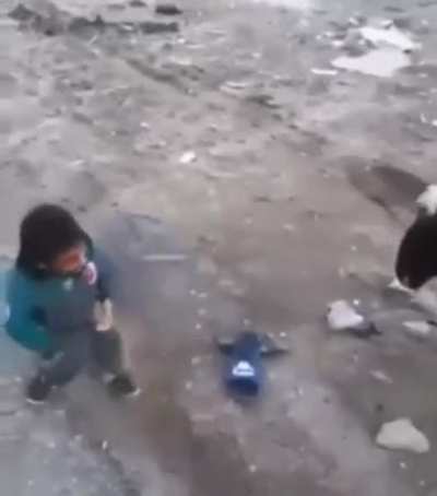 Rare footage: tallest men in Albania fighting his girlfriend &eth;&eth;&eth;&sup2;&eth;&brvbar;&eth;&sup2;&eth;&brvbar;&eth;&brvbar;&eth;&brvbar;