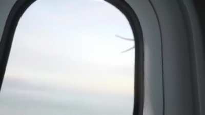 Aranha na janela de um avi&atilde;o