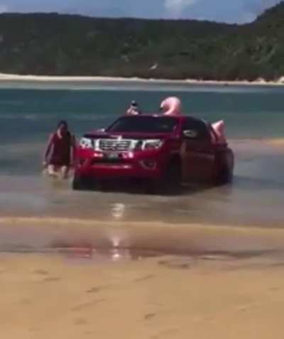 beached_idiot