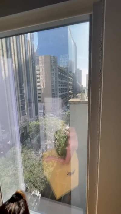 Enjoying both views