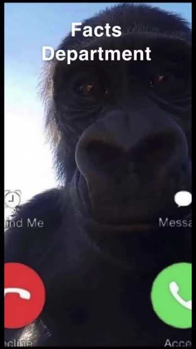 Are you gonna answer?