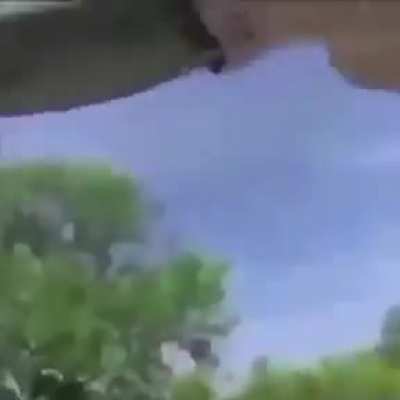 xdxd