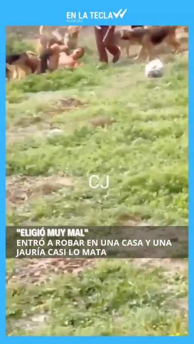 Tucumán: Entró a robar a una casa y una jauría casi lo mata
