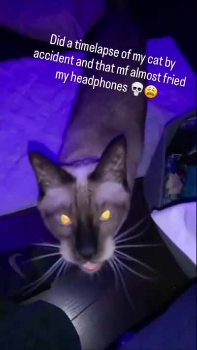 Bwoobdhahdj "🛳⛴️🛥🚢" 😭 owiamd