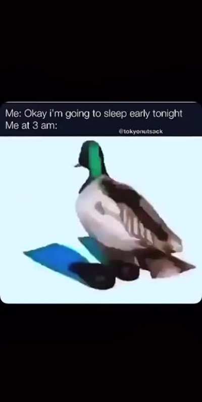 Anyone know this song?