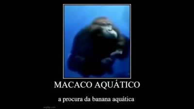 Deus Aben&ccedil;oe os monke pra n saturar amanh&atilde; de manh&atilde; 🙌🙌