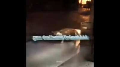 Gato Pika👌(m&uacute;sica Bad do maico Jequiso kakakaka)