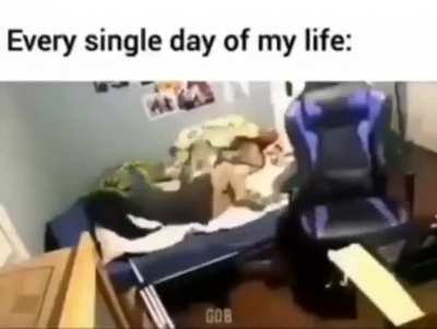 Me irl