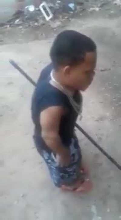 Apenas