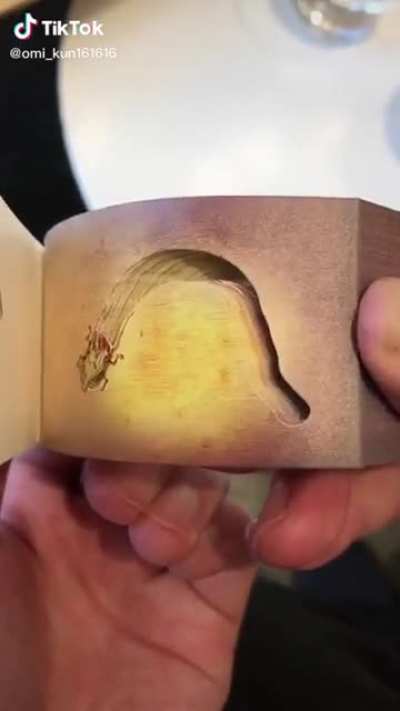 A flipbook carved into a third dimension.