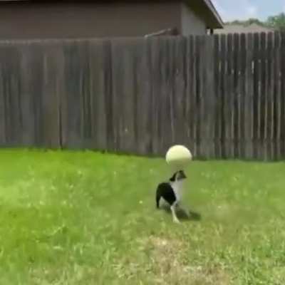 Skills.. 😏