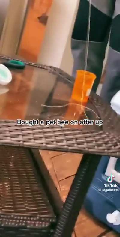 Maybe maybe maybe