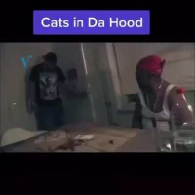 Meow Meow ni...