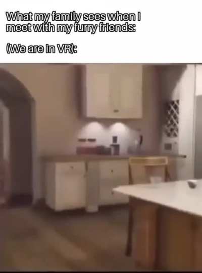 Furry_irl