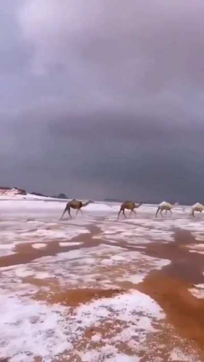 Hail (حائل) North west of the Kingdom of Saudi Arabia
