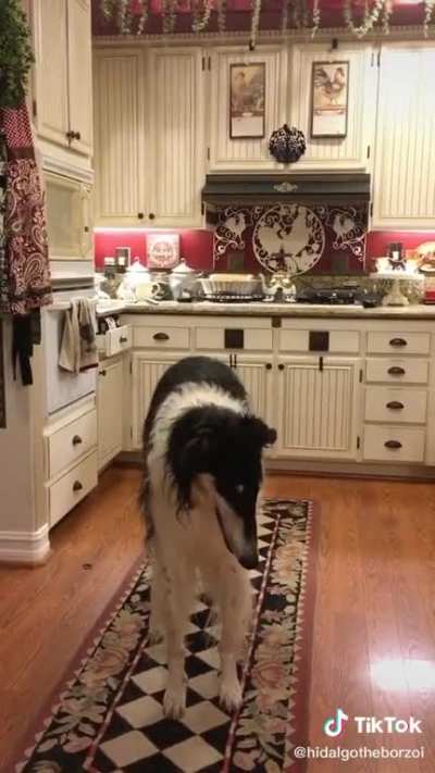 Big Borzoi slammies