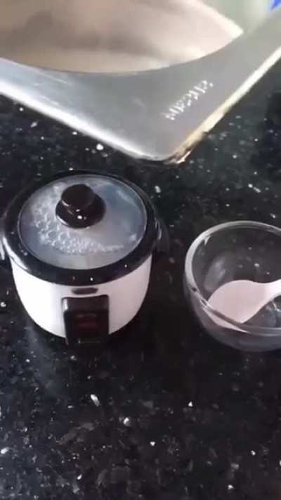 Real Mini Rice Cooker