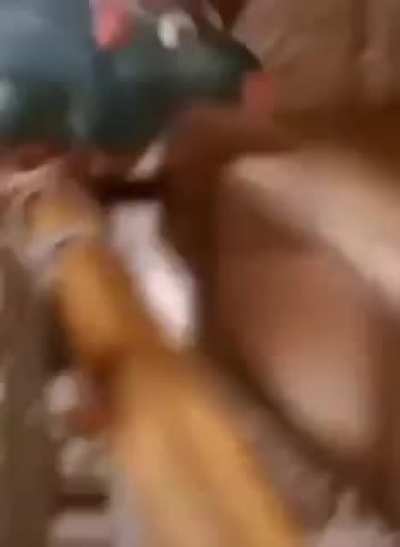 Ah&iacute; va Disney a sacar otro live action que nadie pidi&oacute;, al menos el CGI se ve bueno