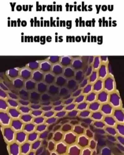 omg