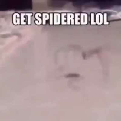 SquarePosting - Video #3310